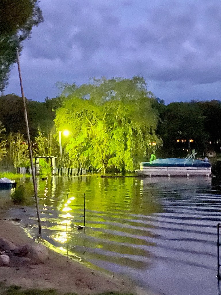 A lifelong friend sent a picture of this willow to me from her vacation.